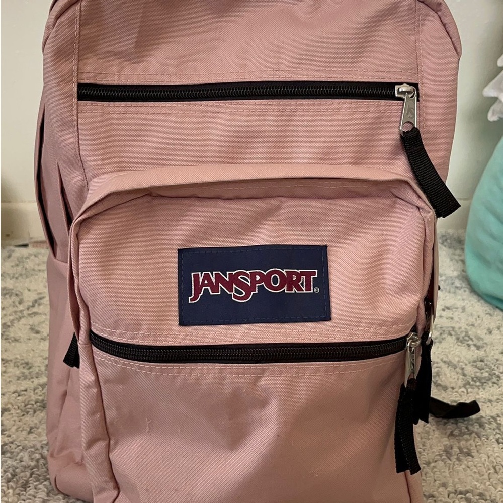 JanSport Pink Backpack